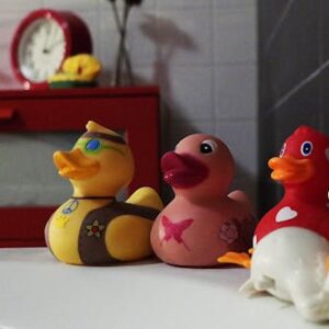 Cubaris sp. “Rubber Ducky”