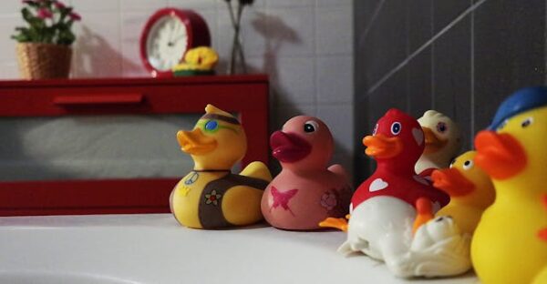Cubaris sp. “Rubber Ducky”